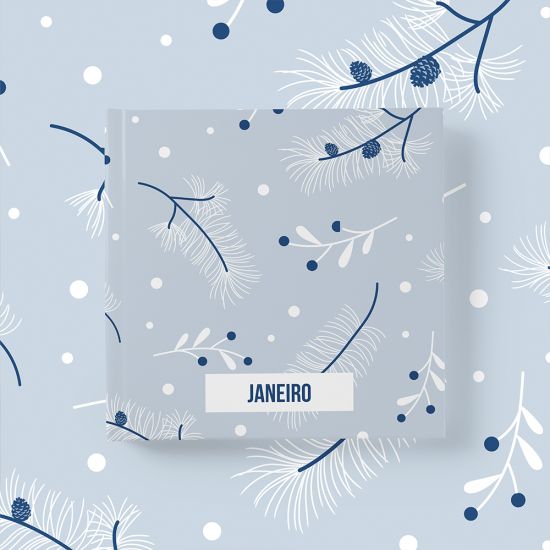 Álbum de Janeiro 2