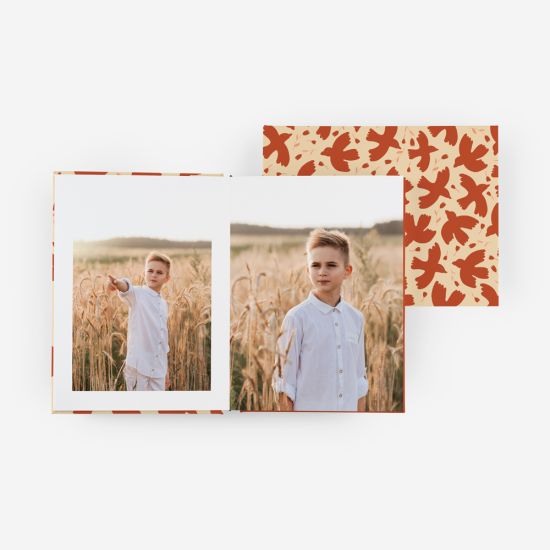 Álbum Paper Wings 4