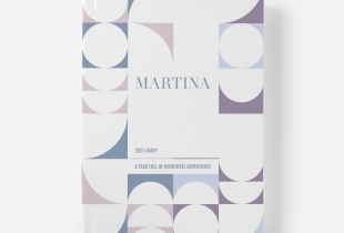 Álbum 2025 Diary intro